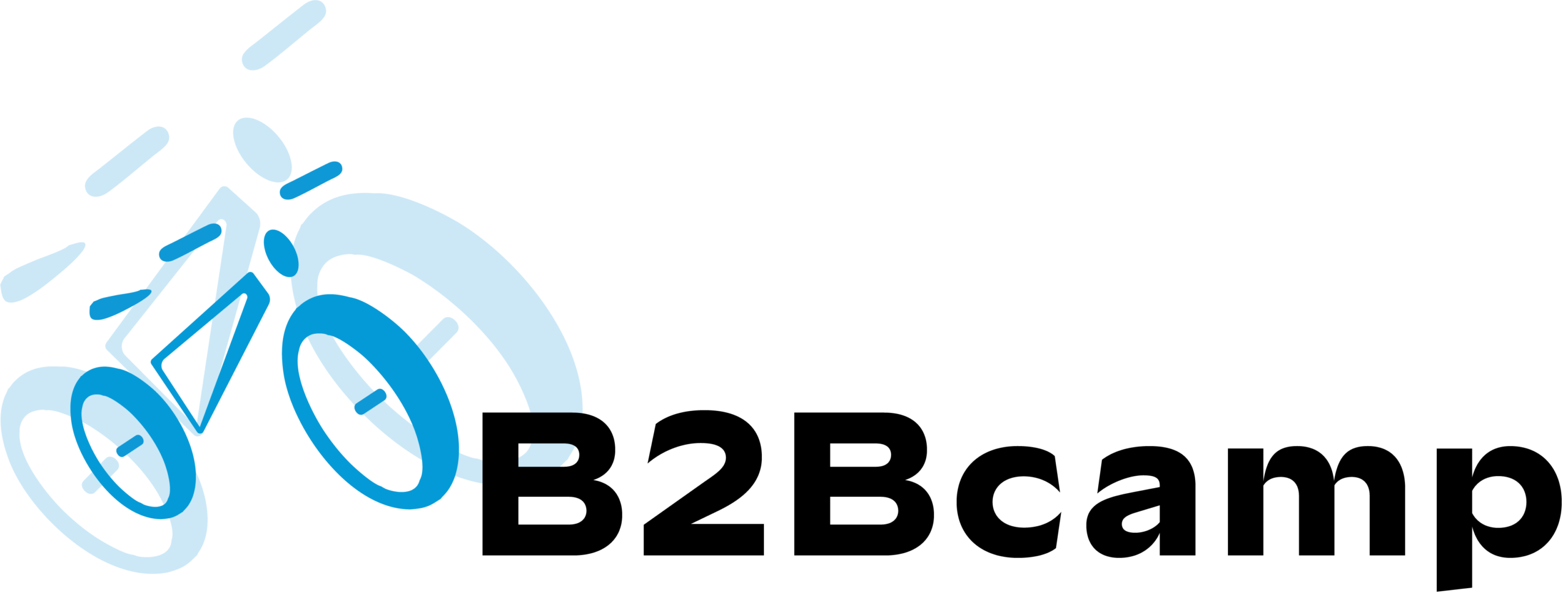 B2BCamp